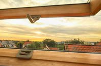 rated South Wimbledon roof window companies